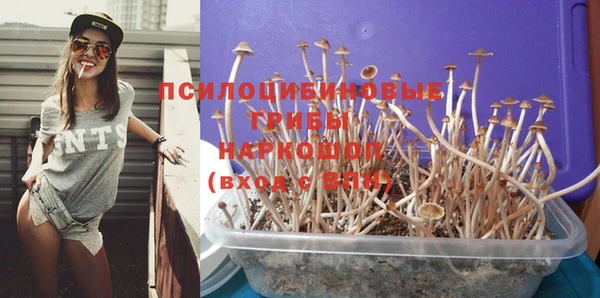 сатива Киреевск