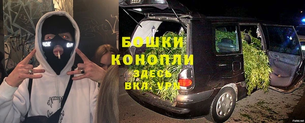 сатива Киреевск