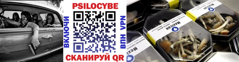 Купить закладки  Азнакаево  Галлюциногенные грибы Psilocybine cubensis 