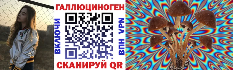 Псилоцибиновые грибы ЛСД Азнакаево